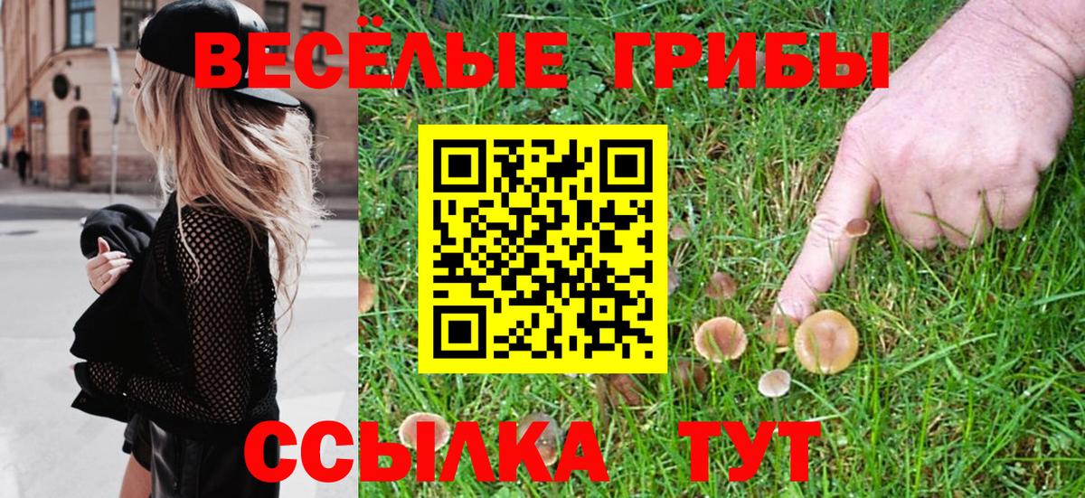 Псилоцибиновые грибы мухоморы  Галлюциногенные грибы Magic Shrooms  хочу   Вход с VPN  Минеральные Воды 